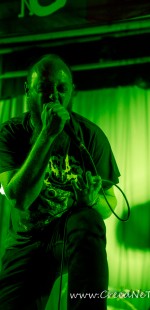 0126 Pro Izabelka fest